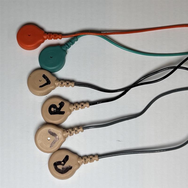 Multiple Lead Snap On Cable Bundles - Sufficient for Australian Ambulatory Testing